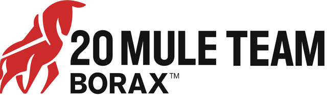 U.S. Borax Inc.